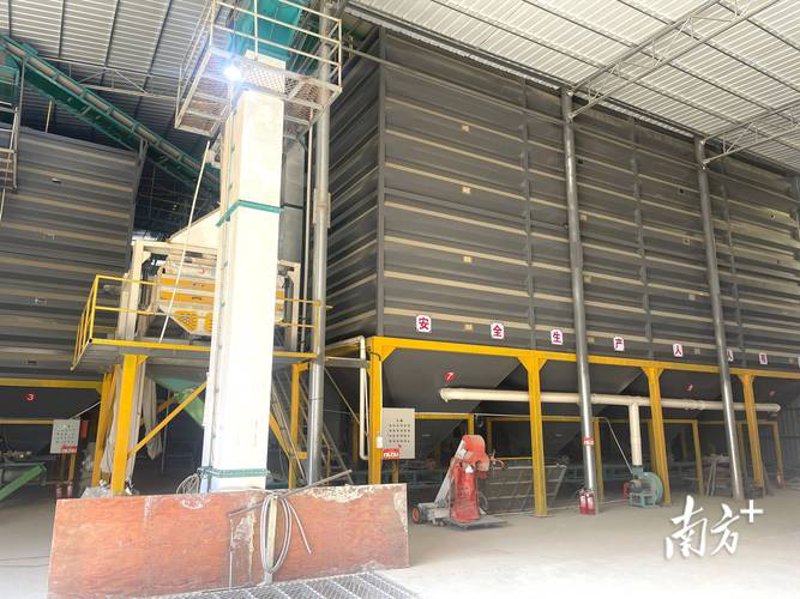 玉米销售趋势解读：把握市场机遇