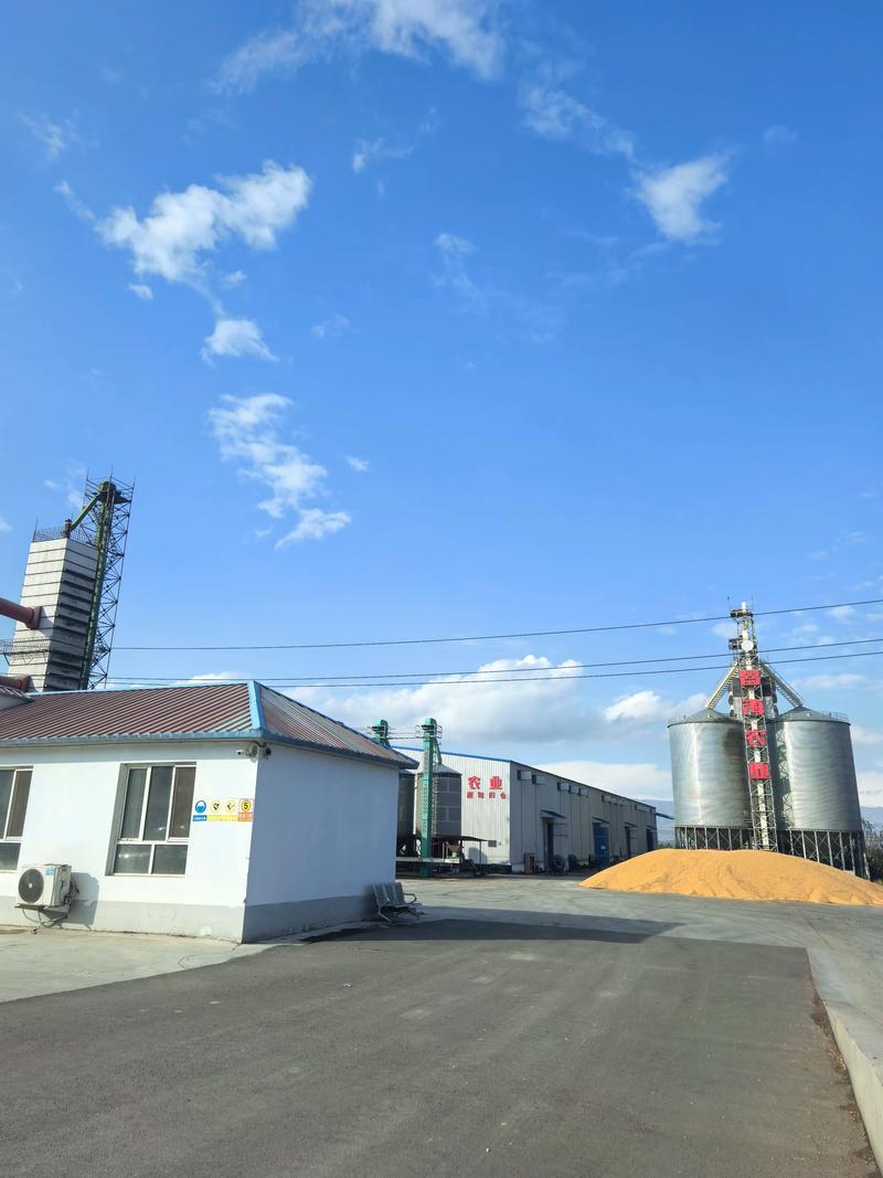 怀远县如何选购优质粮食？收购注意事项全解析